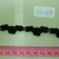 CLC2591