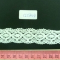 CLC3004