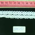 CLC3005
