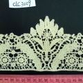 CLC3009