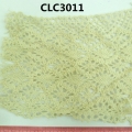 CLC3011