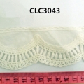 CLC3043