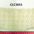 CLC3053