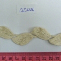 CLC3226