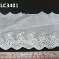 CLC3401