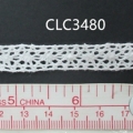 CLC3480