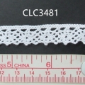 CLC3481