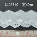 CLC3510