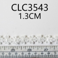 CLC3543