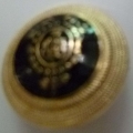CTX0128