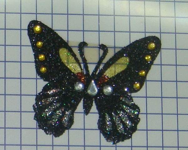 CPD0209