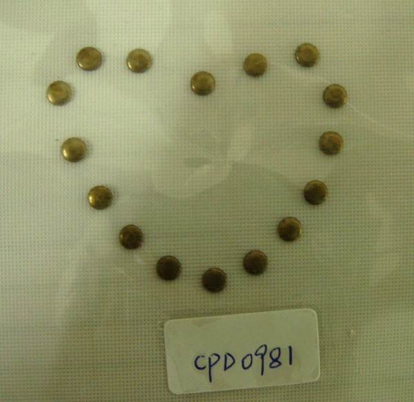 CPD0981