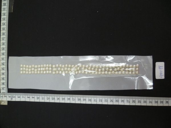 CPD1199