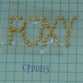 CPD0013