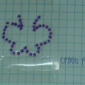 CPD0019