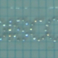 CPD0051