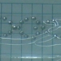 CPD0058