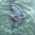 CPD0066