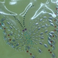 CPD0075 SILVER