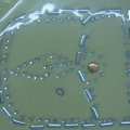 CPD0080