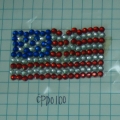 CPD0100