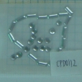 CPD0112