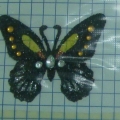 CPD0147