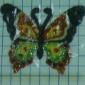 CPD0151