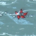 CPD0159