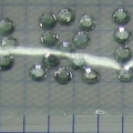 CPD0190