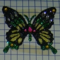 CPD0213