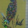 CPD0293
