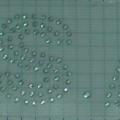 CPD0333 SILVER