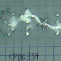 CPD0334 SILVER