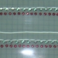 CPD0456 COL.2
