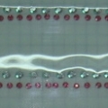 CPD0457 COL.2