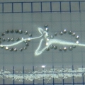 CPD0599