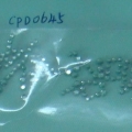 CPD0645