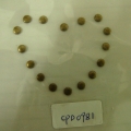 CPD0981