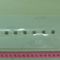 CPD1231