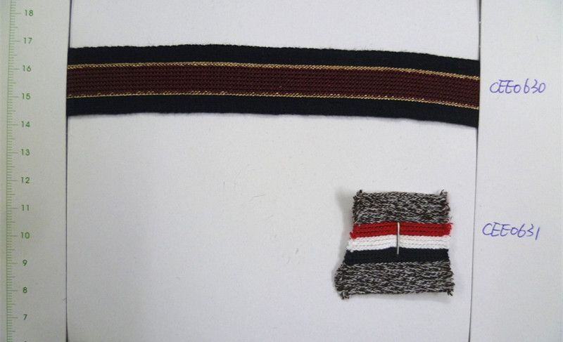 CEE0630-31