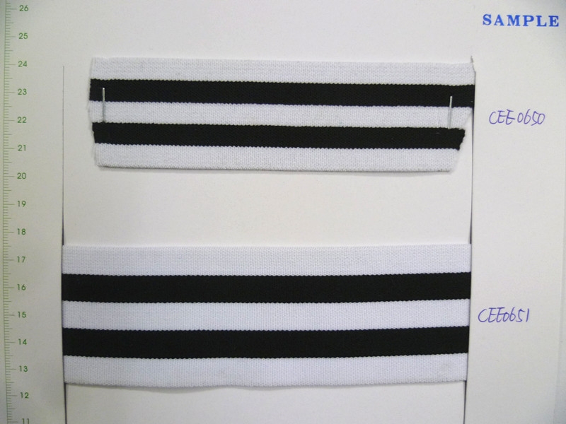 CEE0650-51