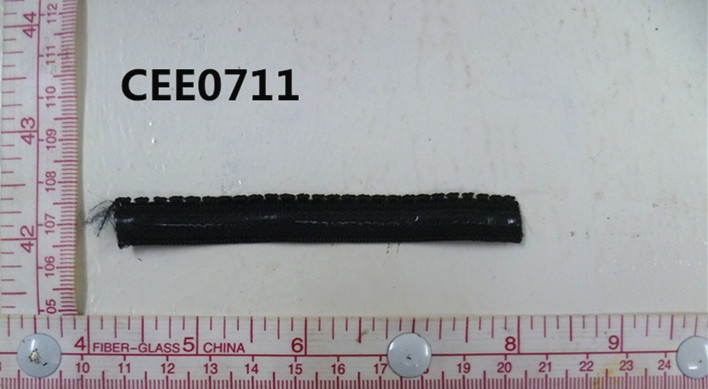 CEE0711