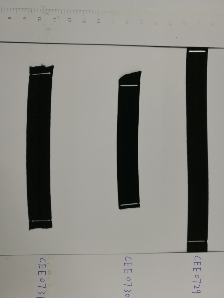 CEE0729-31