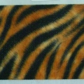 CEE0114