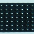 CEE0228