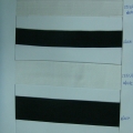 CEE0254-0255