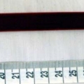 CEE0442
