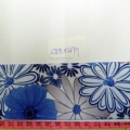 CEE0479