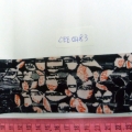 CEE0483